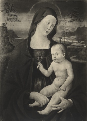 Anonimo — Pseudo Mainardi - sec. XV/ XVI - Madonna con Bambino — insieme